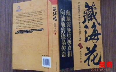 藏海花-最新章节-藏海花-免费小说阅读