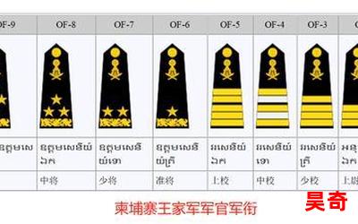 五星上将叶君临最新章节-五星上将叶君临免费阅读