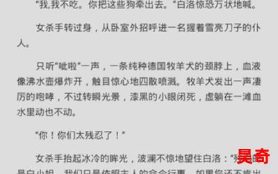 六指诡医小说全文免费阅读-六指诡医小说最新章节-无弹窗