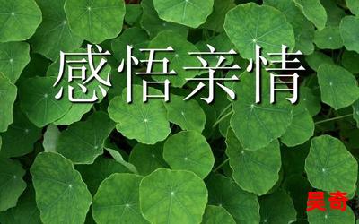 亲情会4_最新章节_免费阅读